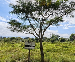 VTA-TER-006, Terreno Amplio con Título Perfecto en Mariano I. Loza