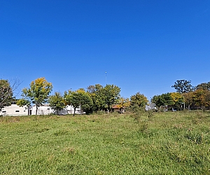 vta_ter_006_05