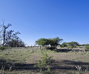 vta_cha_003_09